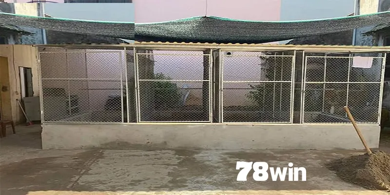 Hướng dẫn các sư kê chi tiết cách làm chuồng chạy cho gà đá